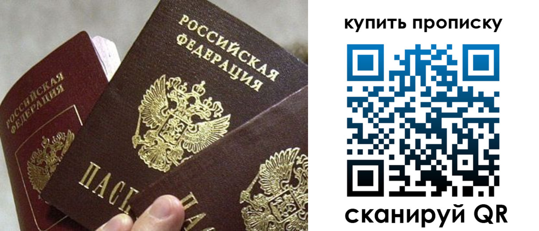 прописка для школы в Пересвете